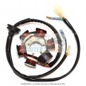 Stator Malaguti F12 Phantom Air 50 94 | 98