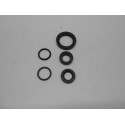 Series Seal Motor Benelli 48 Cc