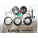 Revision Kit Front Caliper Aprilia Futura Project Af1 Rs 50 108