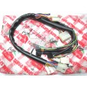 Cableado Controles Interruptores del manillar completo Sr Rally Aprilia 50