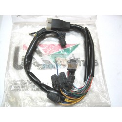 Wiring Dashboard Without Lamps Et Original Aprilia Tuareg 50