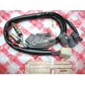 El cableado del tablero de instrumentos completo original Aprilia Red Rose 50 125 50 Europa