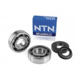 Bearings And Seals Kit Minarelli Motor Am6 Am345