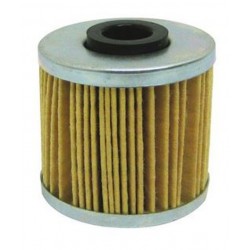 Motor Oil Filter Beta Evo 250 300 250 Rev