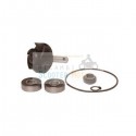 WATER PUMP REPAIR KIT APRILIA GULLIVER LC50 Scooter 1996/1998