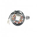 Cw Rs Stator Mbk Booster Ng (Eng) 50 1995-1999