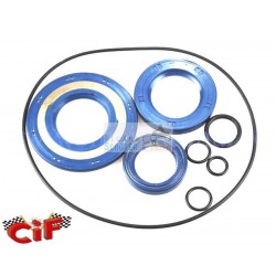 Series motor oil seals in Viton Piaggio Vespa Px 200 Rainbow Pe