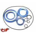 Series motor oil seals in Viton Piaggio Vespa Px 200 Rainbow Pe