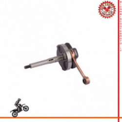 Crankshaft plug 10 Jasil Piaggio Bravo Erre 2 50 1975-1981