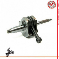 Albero Motore Standard Bcr Piaggio Vespa Granturismo Euro 3 125 2006-07