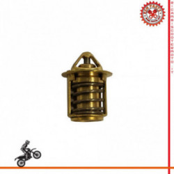 Thermostat Derbi DNA Water 50 00-07