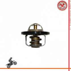 Thermostat Wasser Yamaha FZR 600 89-93