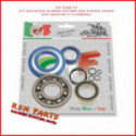 Revision Kit Crankshaft oil seals Vespa With Bearings Pe 200