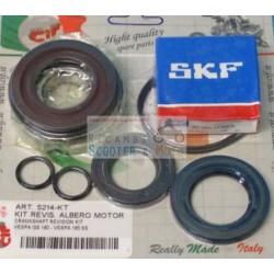 Revision Bearing Kit Crankshaft oil seals Piaggio Vespa GS 160