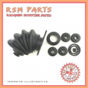 Kit revisione pinza freno posteriore LIGIER DUE' JS42