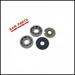 Revision Kit Crankshaft Vespa Sprint 150 Bearings and Seals Rolf