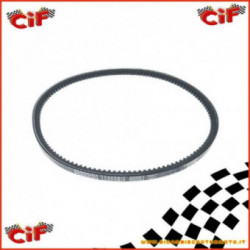 Bracelet Dinamo Motor Bee Mp P501 220 1978-1996 Top Qualité