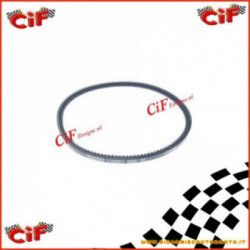 Bracelet Dinamo Motor Bee Mp P501 220 1978-1996 Top Qualité