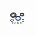 Seal Motor Vespa 50 Complete Kit Spring Clutch side