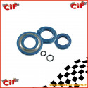 Serie Paraolio Motore Ape Fl2 50 1989-1995 Completa