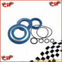 Serie Paraolio Motore Vespa Px 125 Corteco Blu E O-Ring