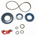 Serie Paraolio Motore Vespa Px 125 Corteco Blu E O-Ring