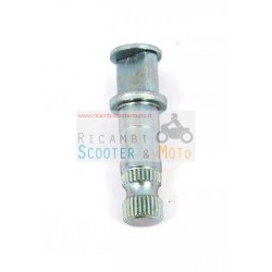 Spinner rueda trasera Malaguti F 12 F 15 Ciak Centro 50