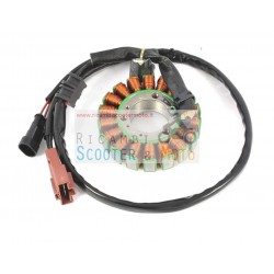 Stator Schwungrad 492 Original-Malaguti Spinne Max 500 Rs 08