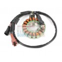 Stator Schwungrad 492 Original-Malaguti Spinne Max 500 Rs 08