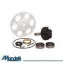 Kit Revisione Pompa Acqua Malaguti F12 Phantom Twin Disks 50 1998