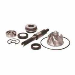 Kit Revisione Pompa Acqua Honda Fes 125 A S-Wing Abs 2007-2013