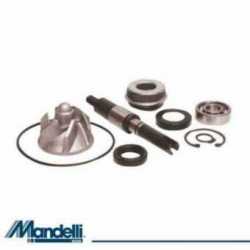 Kit Revisione Pompa Acqua Honda Fes 125 A S-Wing Abs 2007-2013