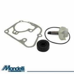 Revision De La Bomba De Agua Kit Yamaha Yp125E Majesty 125 2003-2009