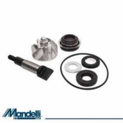 Kit Revisione Pompa Acqua Honda Nss 250 A Forza Abs 2008-2011