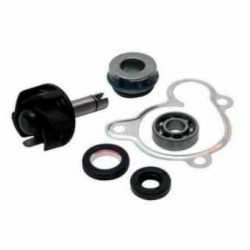 Revision De La Bomba De Agua Kit Yamaha Yp250 Majesty 250 1996-2003