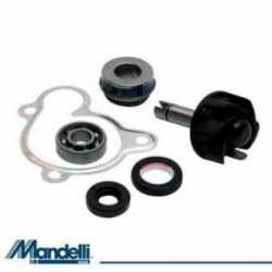 Revision De La Bomba De Agua Kit Yamaha Yp250 Majesty 250 1996-2003