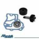 Kit Revisione Pompa Acqua Yamaha Ns50F Aerox F 50 2014-2018