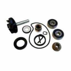 Revision De La Bomba De Agua Kit Piaggio Beverly Rst 250 2004-2005