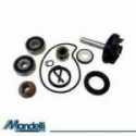 Revision Kit Water Pump Piaggio Beverly Rst 250 2004-2005