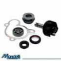 Revision Kit Water Pump Malaguti Password Eu3 250 2008