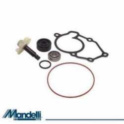 Kit Revisione Pompa Acqua Yamaha Vp X-City 125 2008-2011