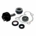 Revision De La Bomba De Agua Kit Aprilia Leonardo 250 1999-2004