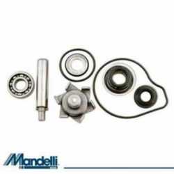 Kit Revisione Pompa Acqua Honda Pcx 125 Ww125 2013