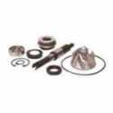 Kit Revisione Pompa Acqua Honda Sh 125 2001-2004