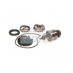 Kit revision bomba de agua Piaggio Gilera 125 250 300