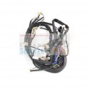 Central wiring With Fuel Level Original Malaguti Ciak 100 99/00