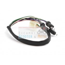 Cableado del tablero de instrumentos Malaguti F12 Phantom F Lucas 15 Fire Fox E1 / E2