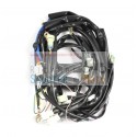 Central Wiring Original Malaguti Ciak 125 150 00/04