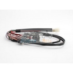 Cableado Taillight Malaguti F 12 Phantom Max 125 200 250