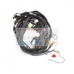 Central Wiring Original Malaguti F15 Fire Fox E2 / E2-23 (Digital)